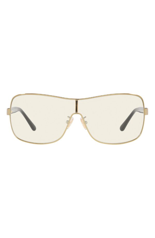 Shield Sunglasses