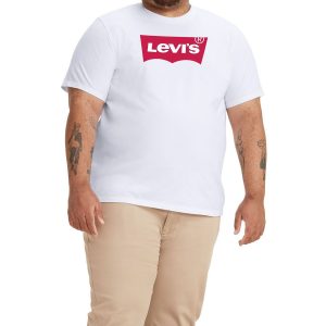 Men's Big and Tall Graphic Crewneck T-shirt
