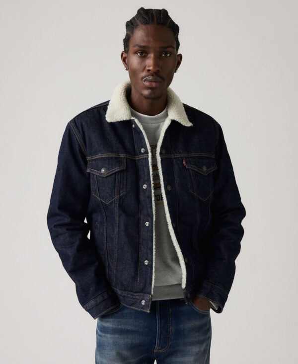 Men's Regular Fit Sherpa Denim Trucker Jacket