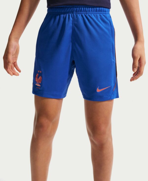Big Boys' and Girls France Soccer Dri-FIT Knit Shorts