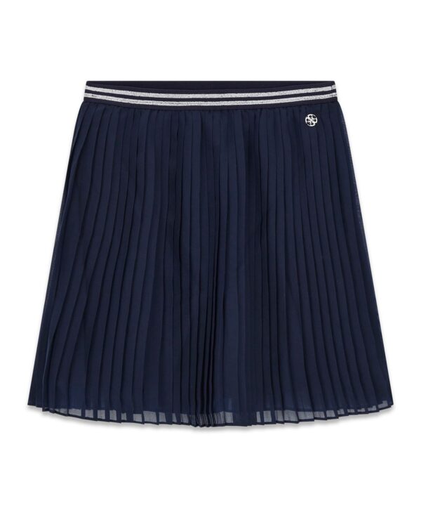 Girls' 7-16 Chiffon Pleated Skirt