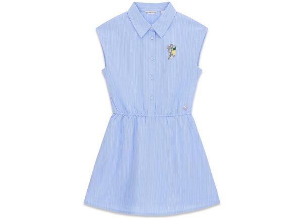 Girls' 7-16 Poplin Dress