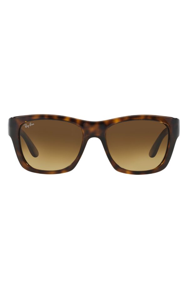 53mm Wayfarer Sunglasses