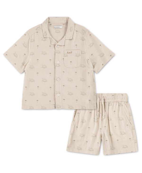 Toddler Boys' 2T-5T Linen Shirt and Shorts, 2-Piece Set