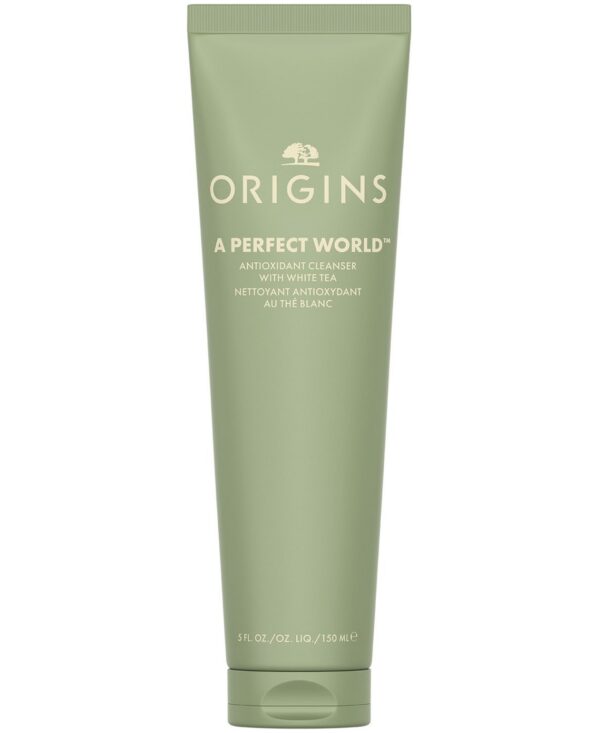 A Perfect World Antioxidant Face Cleanser With White Tea, 5 oz.